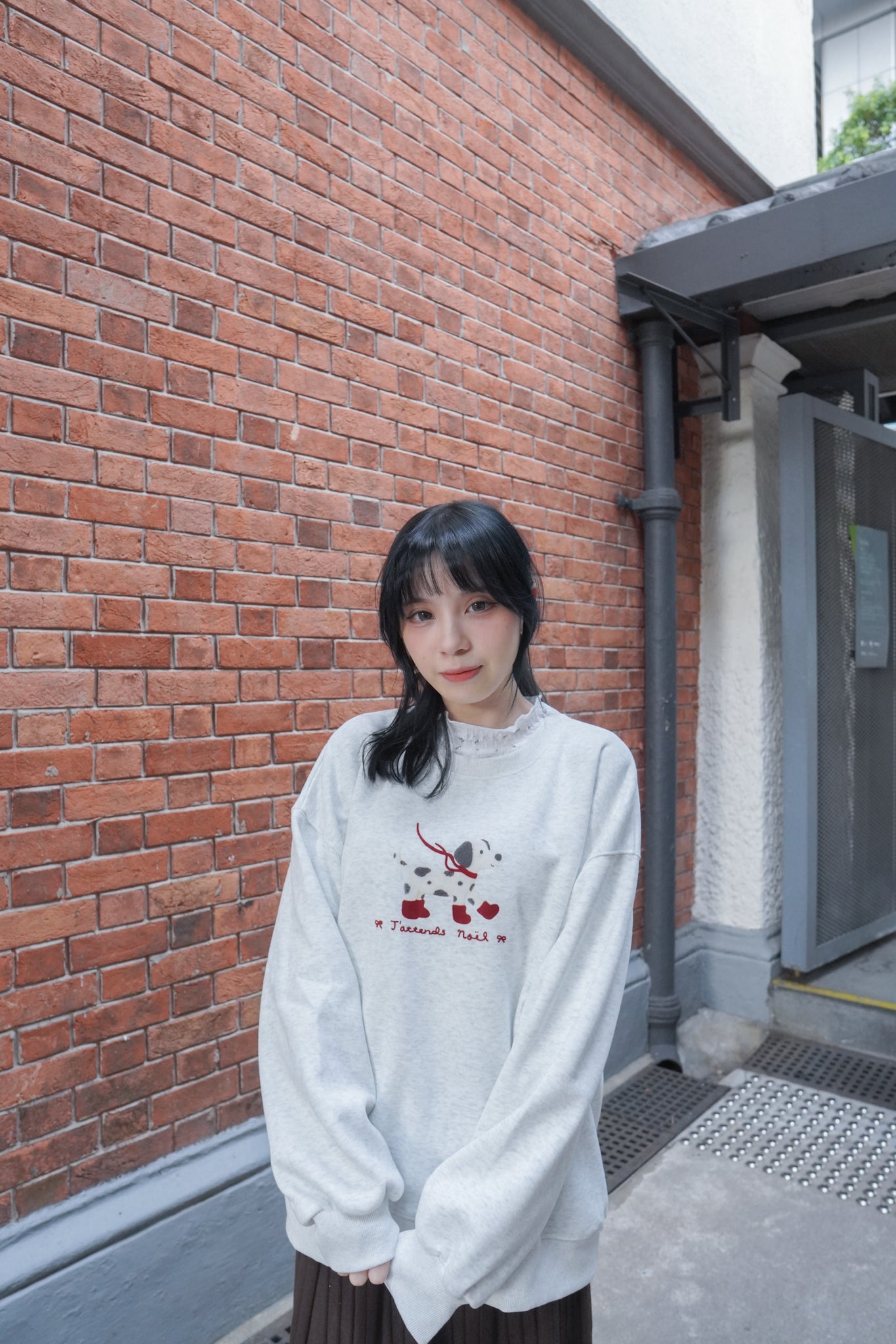 <現貨> 節日小狗刺繡LOGO長袖衛衣 | 兩色入