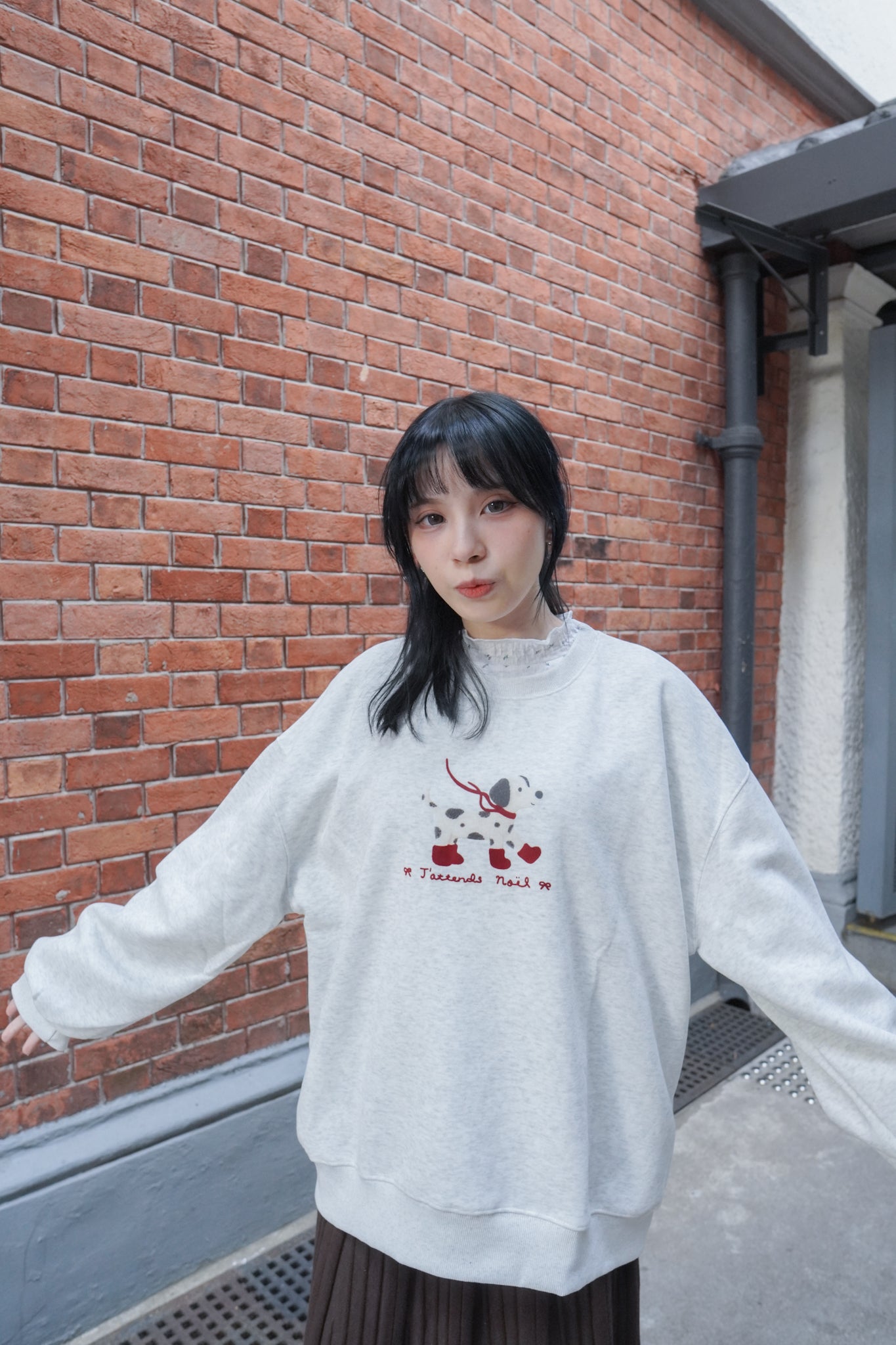 <現貨> 節日小狗刺繡LOGO長袖衛衣 | 兩色入