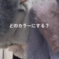 <預訂> 日本直送🇯🇵 人氣大推! FY 漸變捲曲蓬鬆V領寬鬆針織上衣｜四色入
